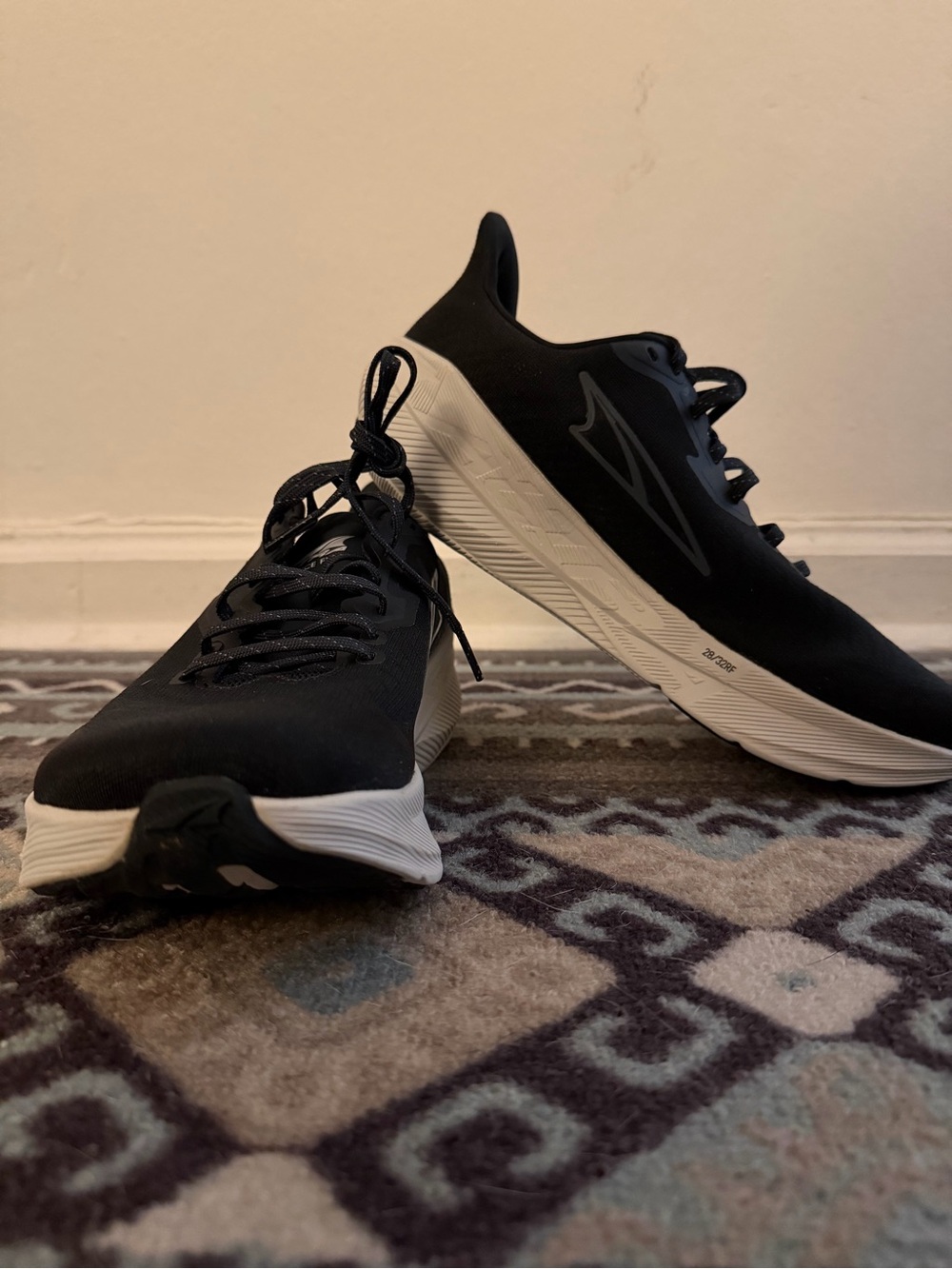 Altra Men's Experience Flow